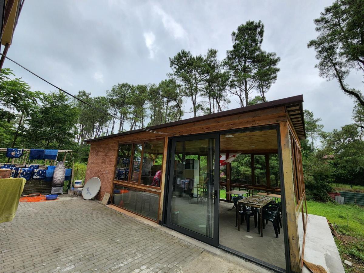 Black Sea House Georgia シェックブティリ エクステリア 写真